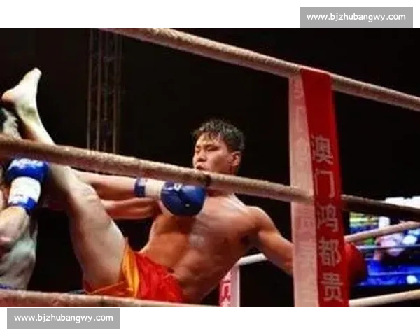 边茂富对决柳海龙巅峰一战视频回顾与技术细节全解析经典瞬间深度盘点